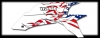 ATV Flame-N-Flag Kit