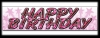 Vinyl Birthday Banner