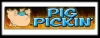 Vinyl Pig Pickn Baner